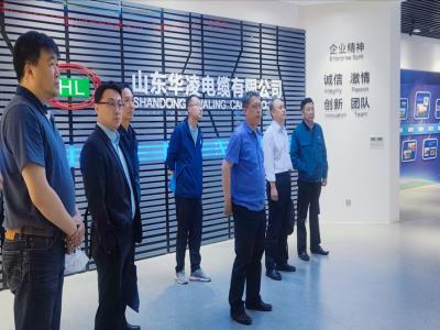 山東電力工程咨詢院一行蒞臨科華賽邦考察