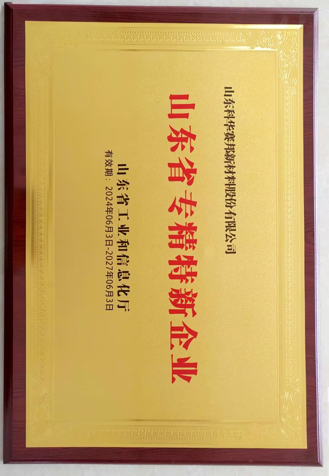 24.6專精特新.jpg